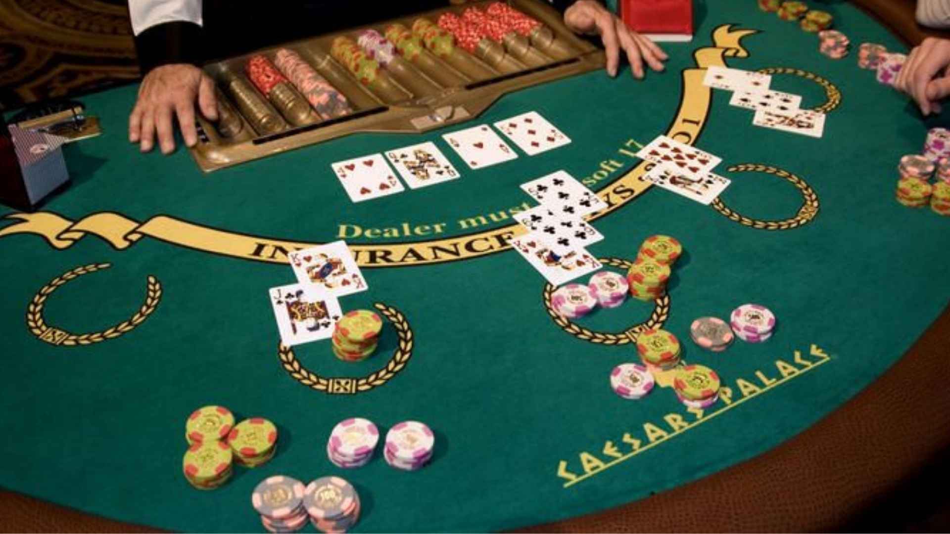 Live Casino Platforms That Deliver Reliable Entertainment